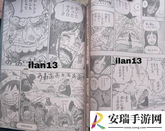 海贼王1133话情报