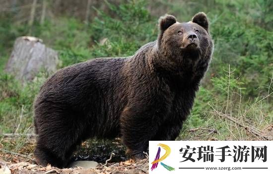 每日私密马赛