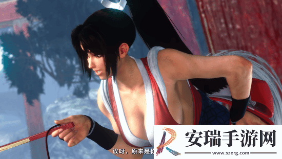 各版本女忍者