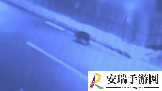 每日私密马赛