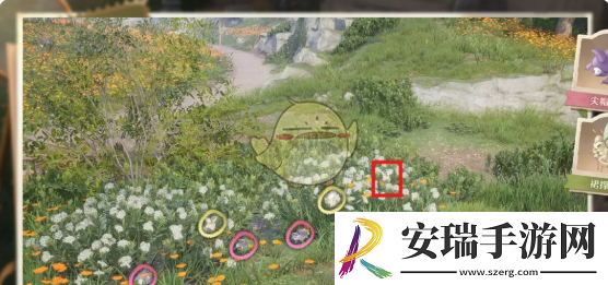 无限暖暖照片调查任务攻略大全