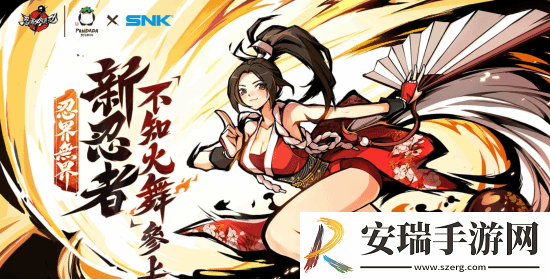 各版本女忍者