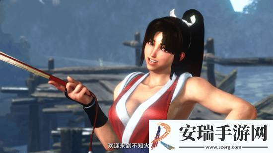 各版本女忍者