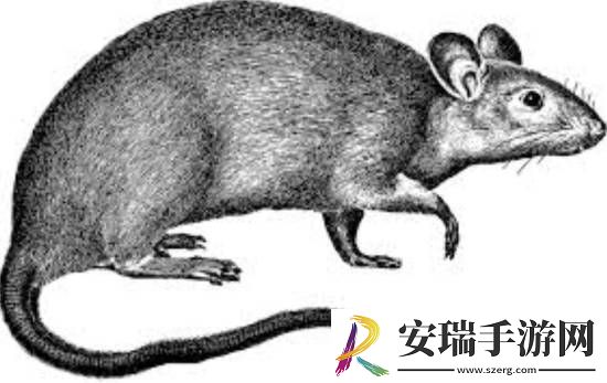动保组织PETA抵制恐怖片诺斯费拉图
