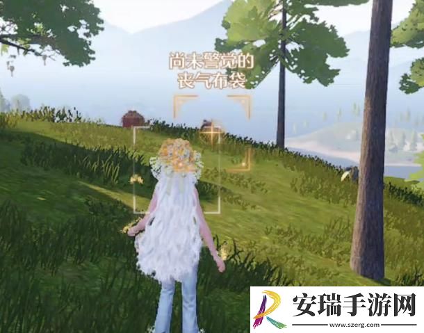 无限暖暖惊险拍摄丧气布袋怎么拍摄