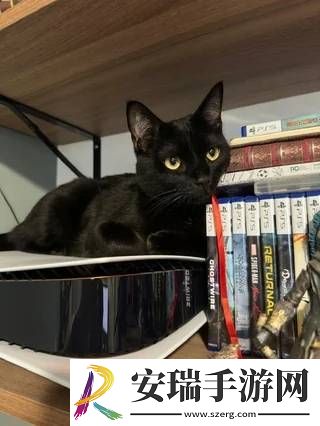 猫猫趴在PS5上不愿离开！玩家