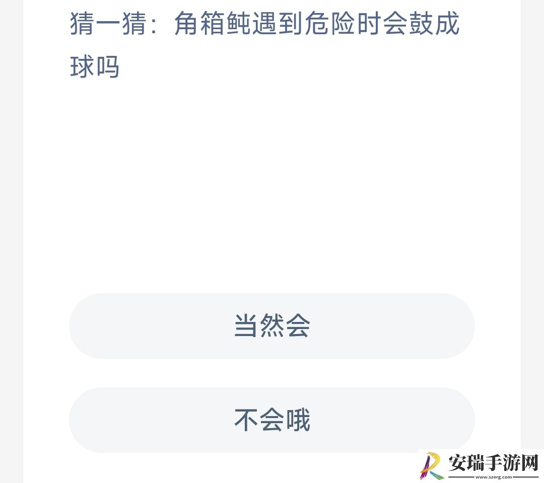 猜一猜角箱飩遇到危险时会鼓成球吗