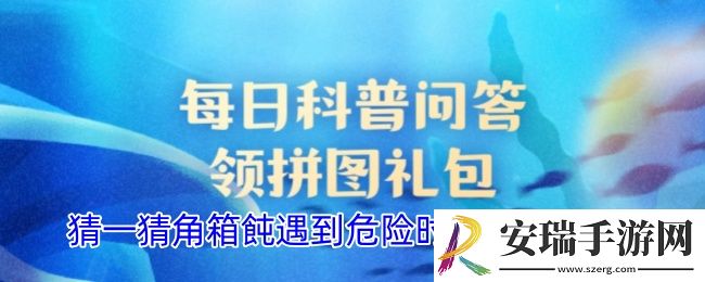猜一猜角箱飩遇到危险时会鼓成球吗