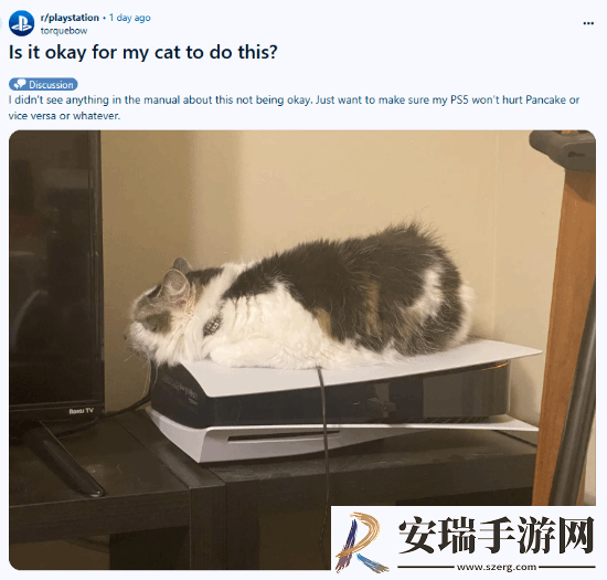 猫猫趴在PS5上不愿离开！玩家