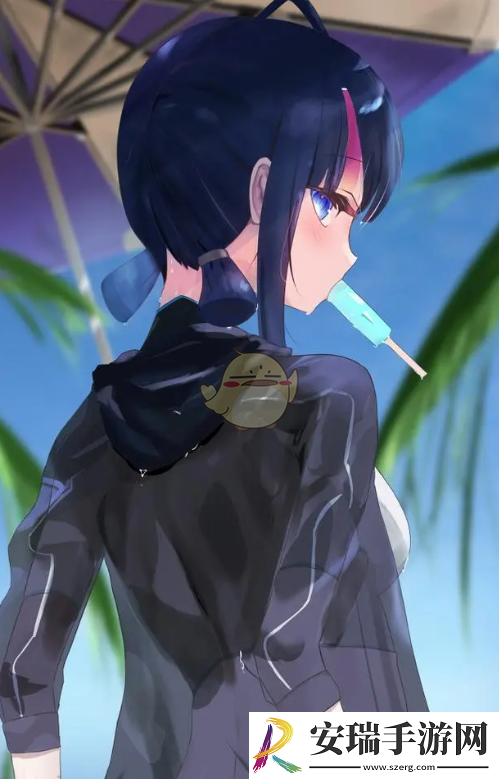 FGO国服3000日自选4星哪个好