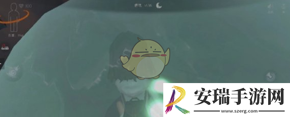 代号