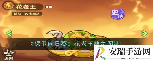 保卫向日葵花老王植物怎么样