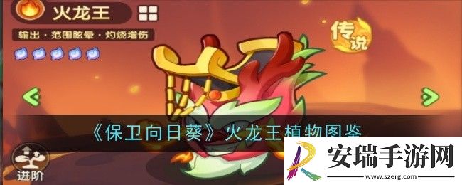 保卫向日葵火龙王植物怎么样