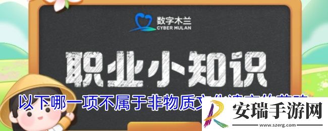 以下哪一项不属于非物质文化遗产的范畴