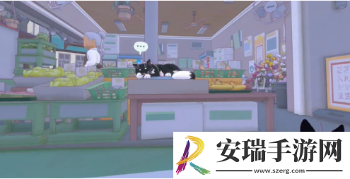 小猫咪大城市五个箱子在哪里