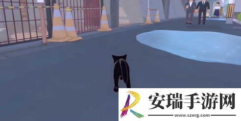 小猫咪大城市五个箱子在哪里