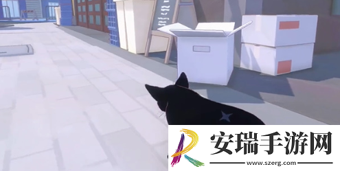 小猫咪大城市五个箱子在哪里