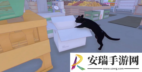 小猫咪大城市五个箱子在哪里
