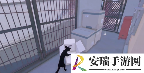 小猫咪大城市五个箱子在哪里