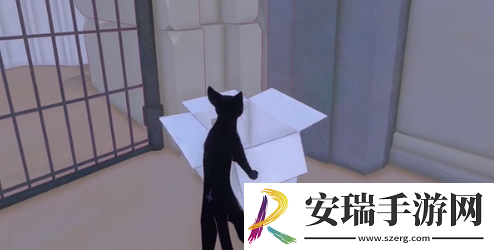 小猫咪大城市五个箱子在哪里