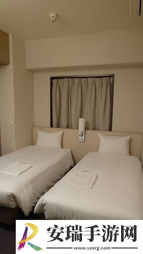 日本夫妻二人入住酒店上线