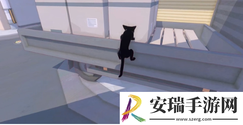 小猫咪大城市五个箱子在哪里