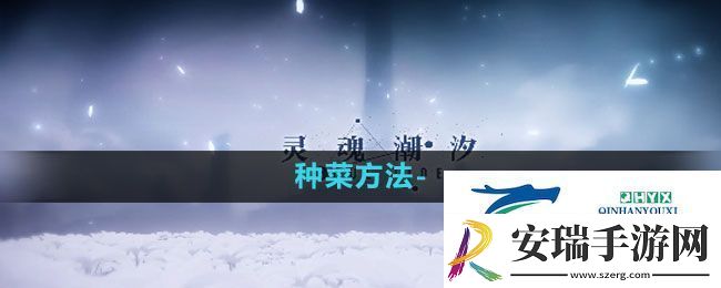 灵魂潮汐怎么种菜