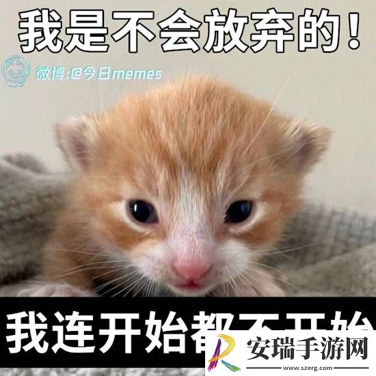 相亲该听爸爸的还是妈**