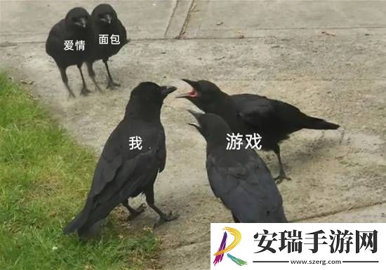 游戏囧图