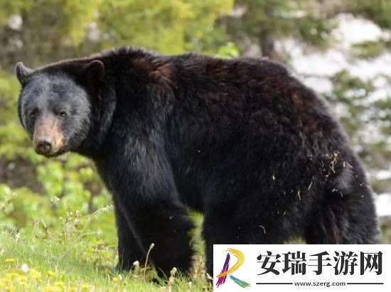 你敢信吗
