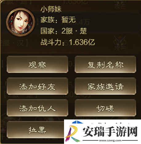 王者征途好友系统是什么