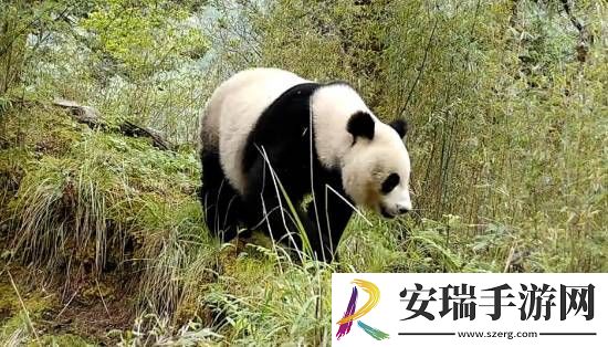 你敢信吗