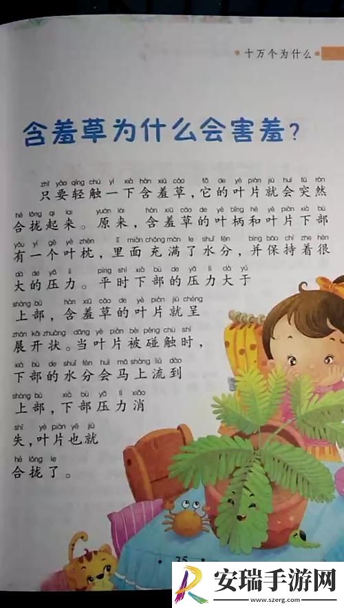 含羞草电视剧的背景故事
