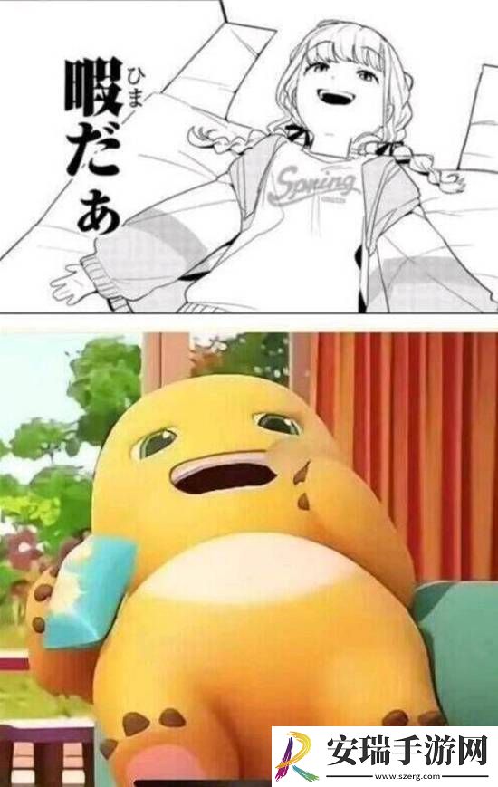 不想娶网红老婆凑合过