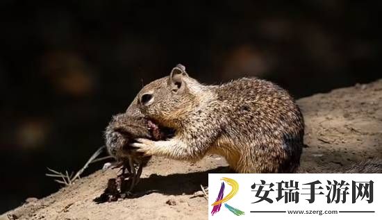 你敢信吗