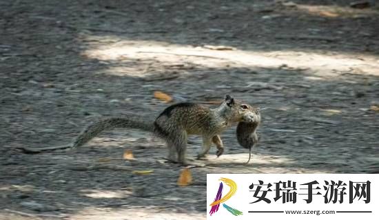你敢信吗