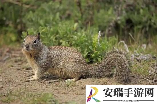 你敢信吗