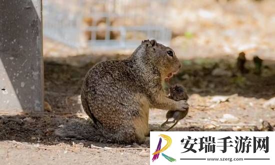 你敢信吗