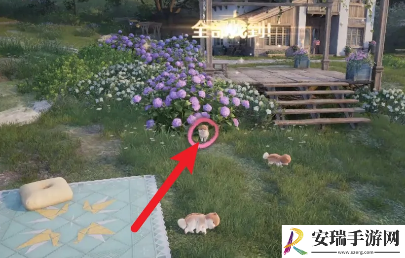 无限暖暖照片调查汪汪三兄弟怎么做