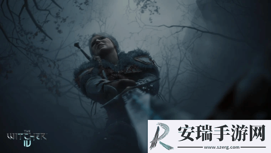 巫师4开放世界更注重质量