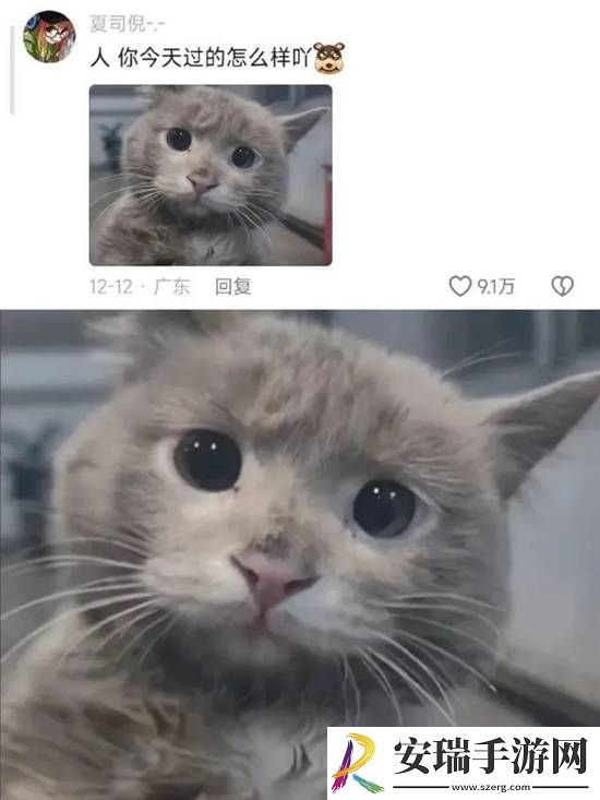不懂小肚子的有难了