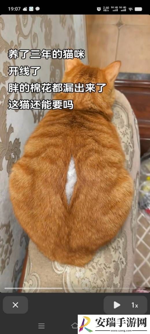 看泳装美女不限年龄