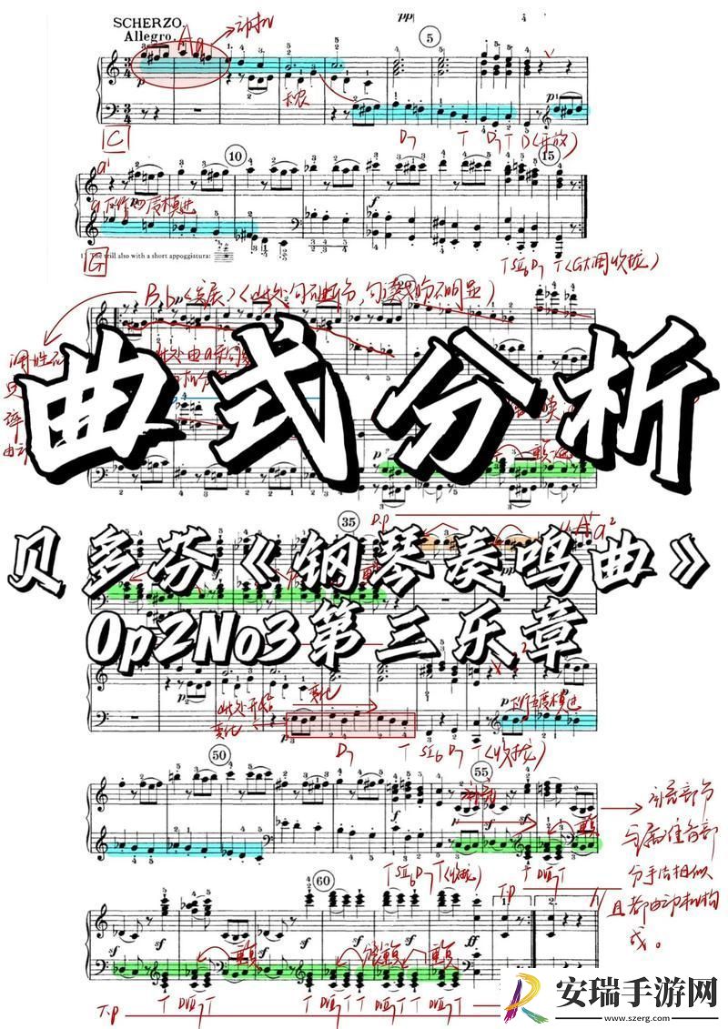 探索音乐之旅