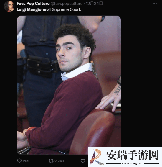 枪杀医保巨头CEO嫌犯颜值出圈