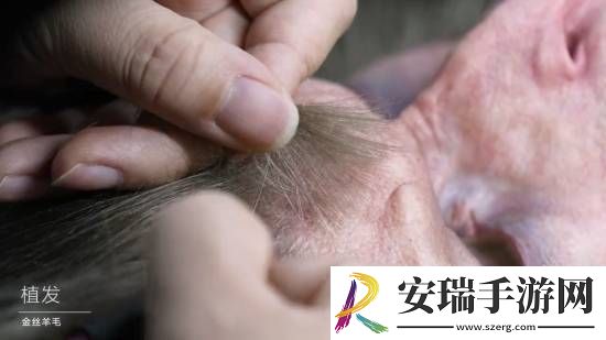 黑神话半身像幕后大揭秘！33800元
