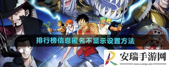 航海王壮志雄心排行榜信息匿名不显示怎么设置