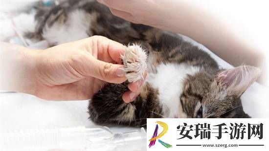 你怎么看