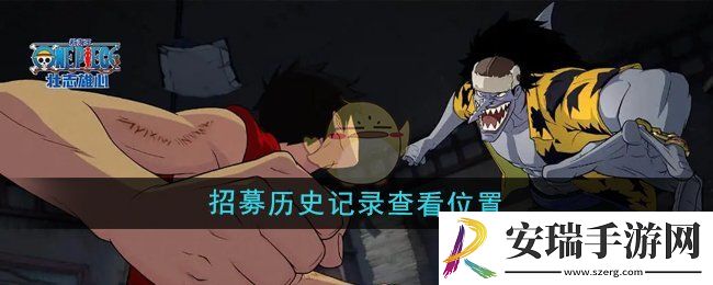 航海王壮志雄心招募历史记录在哪查看
