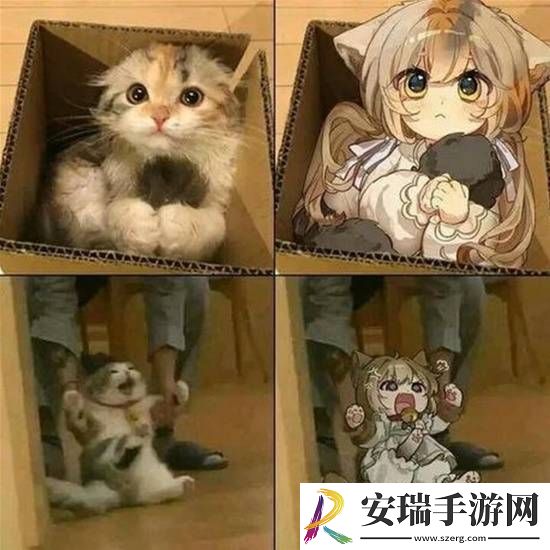 精神出轨**出轨哪个更绿