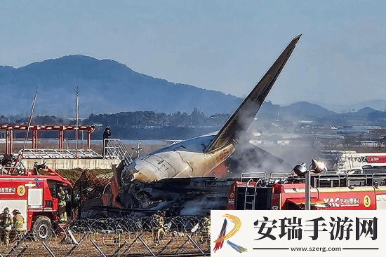 韩国撞墙客机乘客名单公布